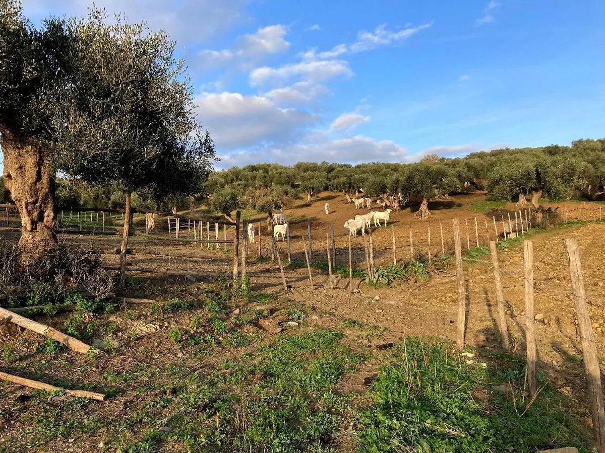 Fattoria Tolomei Campagnatico 0*,