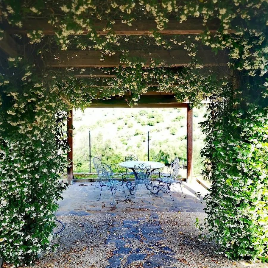 Fattoria Tolomei Campagnatico Ferienhaus