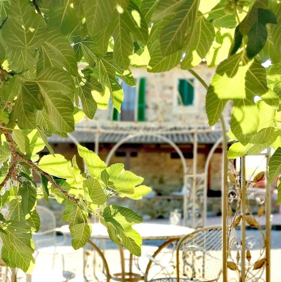 Fattoria Tolomei Campagnatico 0*,