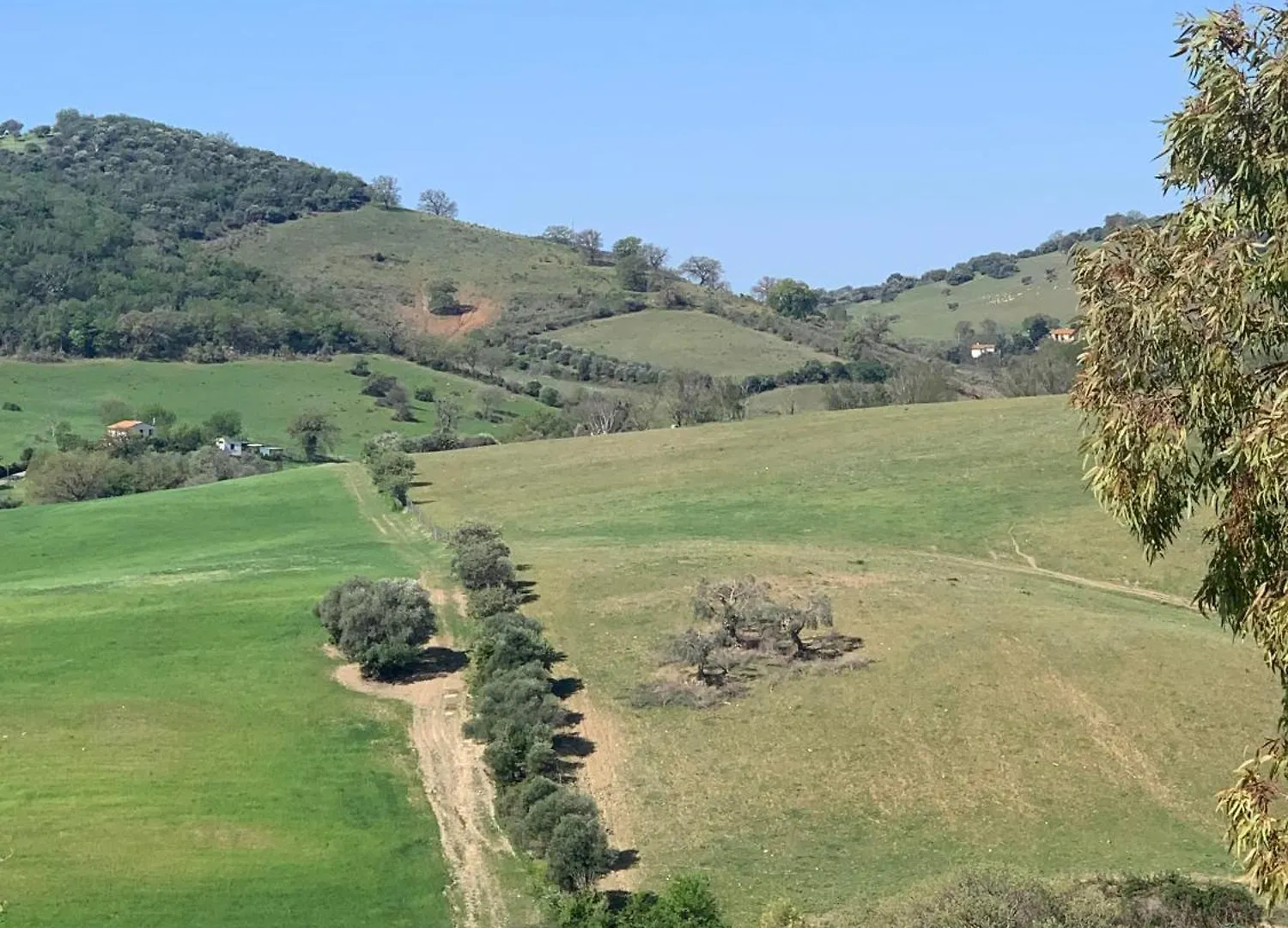 Fattoria Tolomei Campagnatico Dom wakacyjny